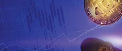Infocus - the pros and cons of cryptocurrency investment